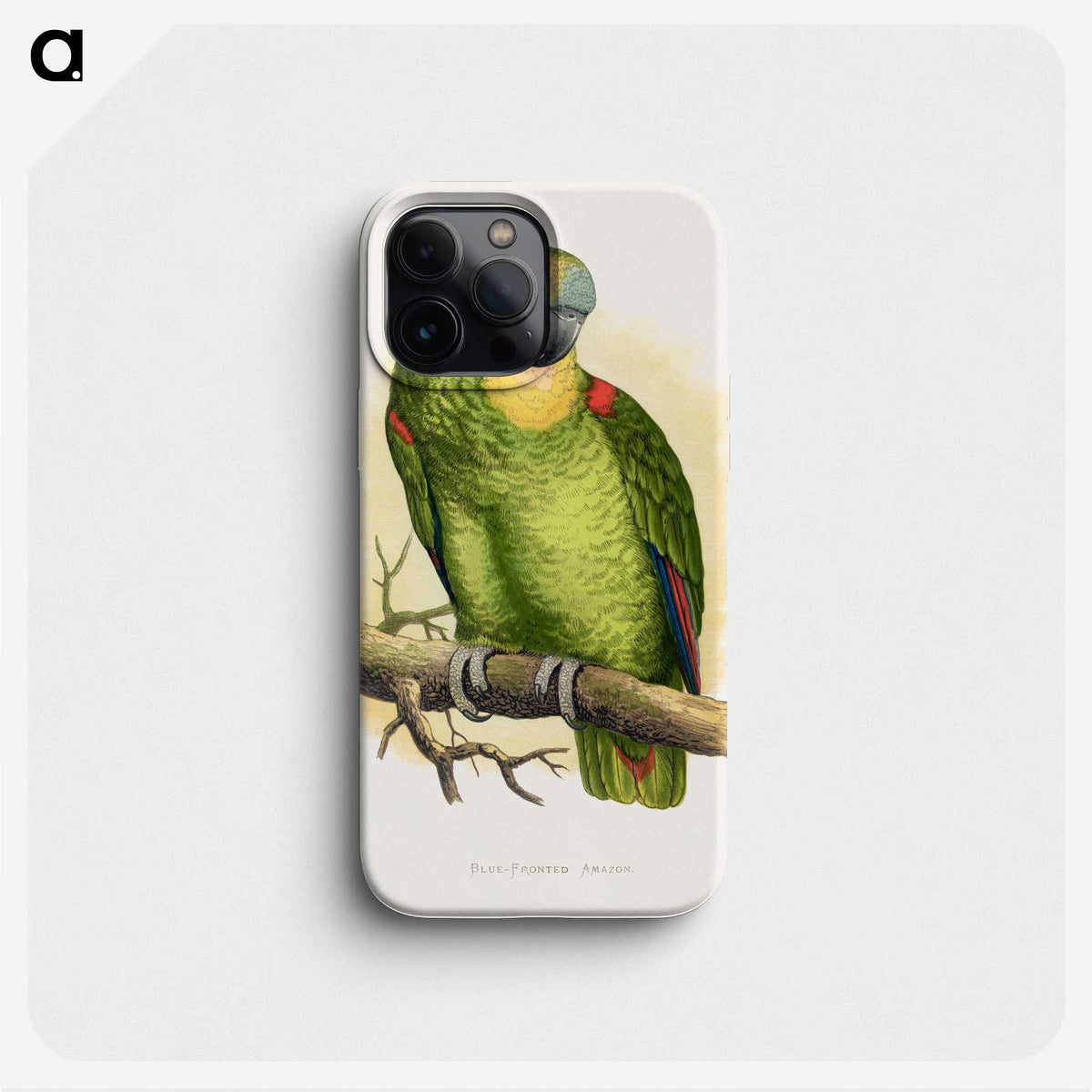 1-61_Parrots-in-Captivity_phone