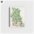 1-61_Paul-Cezanne_memo