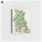 1-61_Paul-Cezanne_memo