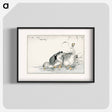 アートポスター-White Fronted Goose Illustration
 - 鳥類図鑑 Poster.