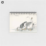 アートメモ帳-White Fronted Goose Illustration
 - 鳥類図鑑 Memo.