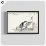1-61_Pictorial-Monograph-of-Birds_blk-crop