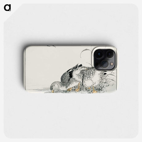 1-61_Pictorial-Monograph-of-Birds_phone