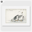 1-61_Pictorial-Monograph-of-Birds_picture