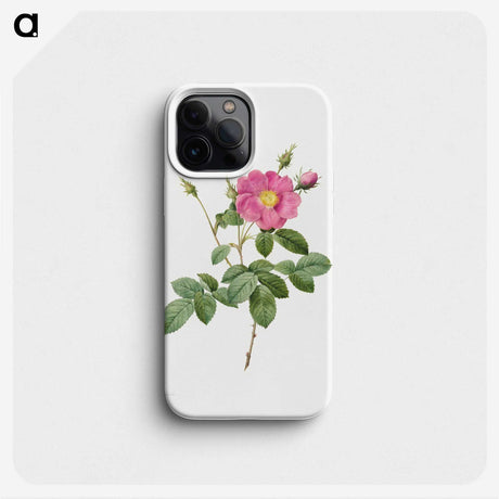 1-61_Pierre-Joseph-Redoute_phone