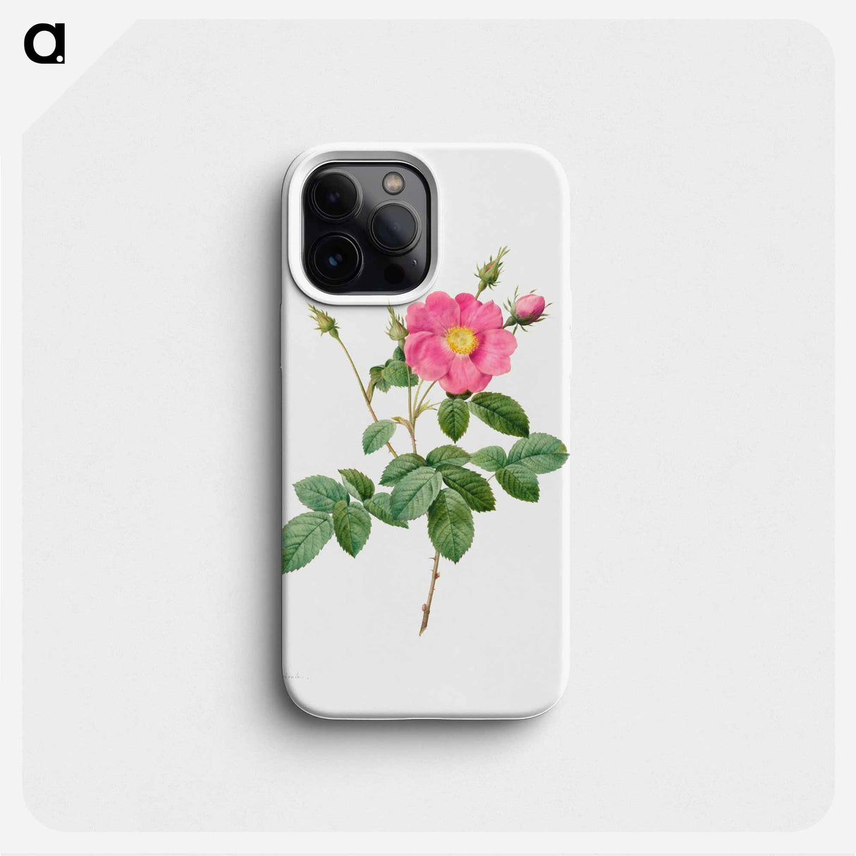 Cabbage Rose (Rosa Centifolia Simplex) - Pierre Joseph Redouté Phone Case.