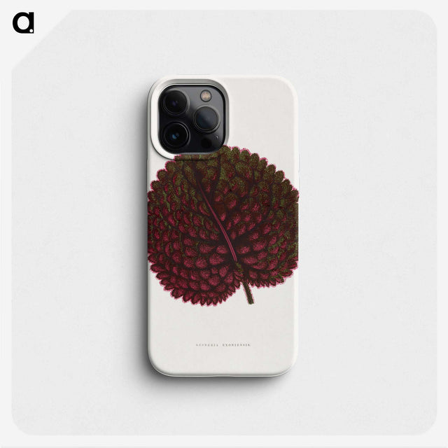 1-61_Plants-with-Colored-Foliage_phone