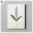 1-61_Robert-Jacob-Gordon_canvas