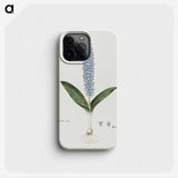 1-61_Robert-Jacob-Gordon_phone