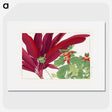 1-61_Seiyo-Soka-Zufu_picture