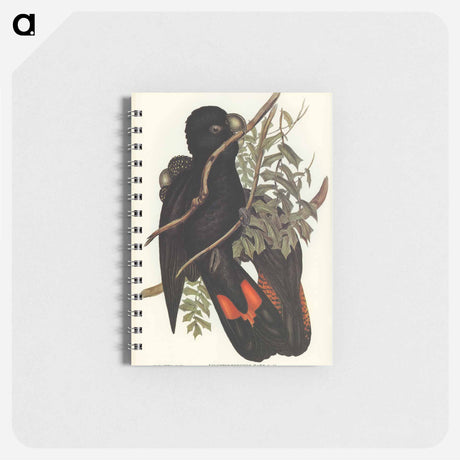 アートメモ帳-Western Black Cockatoo
 - オーストラリアの鳥 Memo.