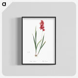 1-61_The-Lilies_blk-crop