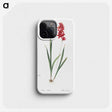 1-61_The-Lilies_phone
