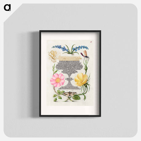 アートポスター-Grape Hyacinth, Wasplike Insect, Eglantine, Austrian Brier, and Magpie Moth
 - 書道のお手本 Poster.