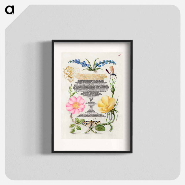 アートポスター-Grape Hyacinth, Wasplike Insect, Eglantine, Austrian Brier, and Magpie Moth
 - 書道のお手本 Poster.