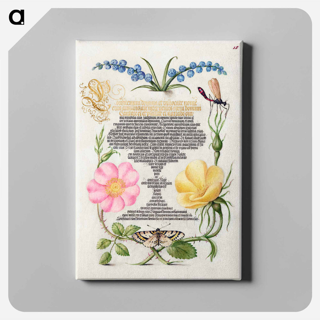 アートパネル-Grape Hyacinth, Wasplike Insect, Eglantine, Austrian Brier, and Magpie Moth
 - 書道のお手本 Canvas.