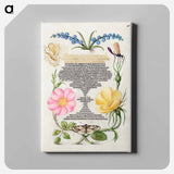 アートパネル-Grape Hyacinth, Wasplike Insect, Eglantine, Austrian Brier, and Magpie Moth
 - 書道のお手本 Canvas.