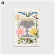 アートポストカード-Grape Hyacinth, Wasplike Insect, Eglantine, Austrian Brier, and Magpie Moth
 - 書道のお手本 Postcard.