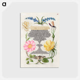 アートポストカード-Grape Hyacinth, Wasplike Insect, Eglantine, Austrian Brier, and Magpie Moth
 - 書道のお手本 Postcard.