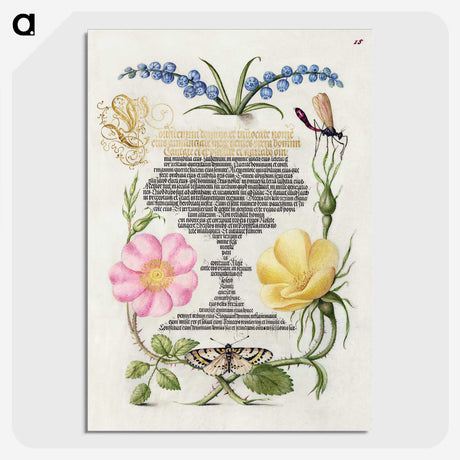 1-61_The-Model-Book-of-Calligraphy_picture-crop