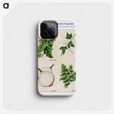1-61_The-Open-Door-to-Independence_phone