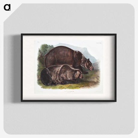 1-61_The-Viviparous-Quadrupeds_blk