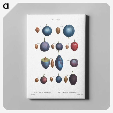 1-61_Treatise-on-Trees-and-Shrubs_canvas