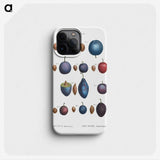 1-61_Treatise-on-Trees-and-Shrubs_phone