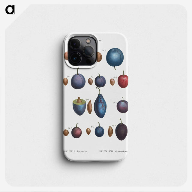1-61_Treatise-on-Trees-and-Shrubs_phone