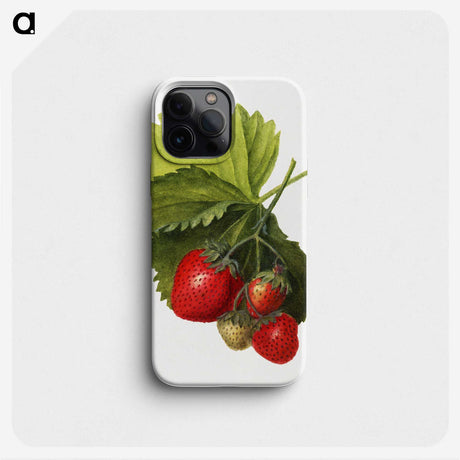 1-61_USDA-Watercolor-Fruit-Painting-Collection_phone