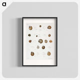 1-61_Zoology-of-New-York_blk