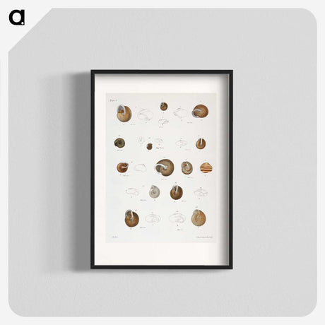 1-61_Zoology-of-New-York_blk
