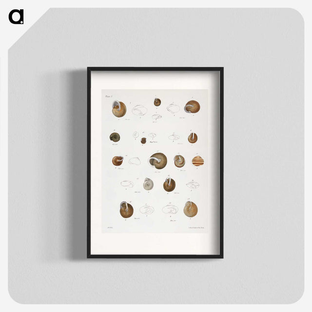 1-61_Zoology-of-New-York_blk