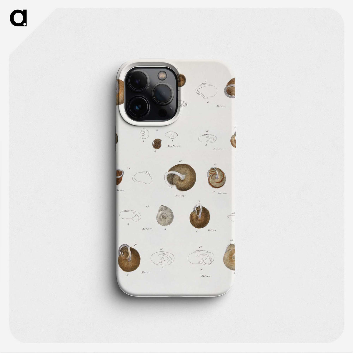 1-61_Zoology-of-New-York_phone