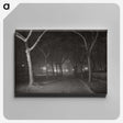 1-62_Alfred-Stieglitz_canvas
