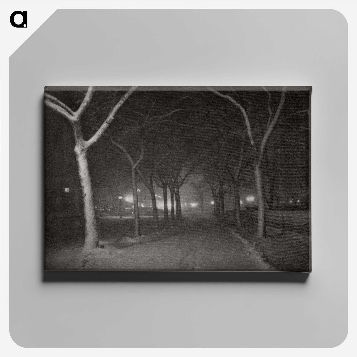 1-62_Alfred-Stieglitz_canvas