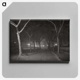 1-62_Alfred-Stieglitz_canvas