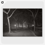 1-62_Alfred-Stieglitz_picture-crop