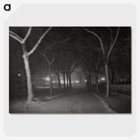 1-62_Alfred-Stieglitz_picture-crop