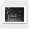 1-62_Alfred-Stieglitz_picture