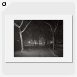 1-62_Alfred-Stieglitz_picture