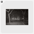 1-62_Alfred-Stieglitz_postcard