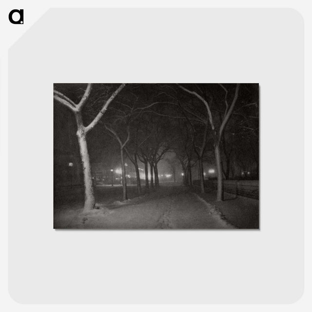 1-62_Alfred-Stieglitz_postcard