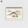 1-62_Anselmus-Boetius-de-Boodt_memo