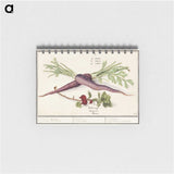 1-62_Anselmus-Boetius-de-Boodt_memo
