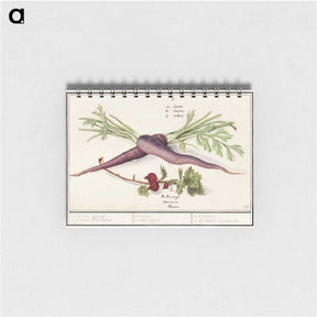1-62_Anselmus-Boetius-de-Boodt_memo