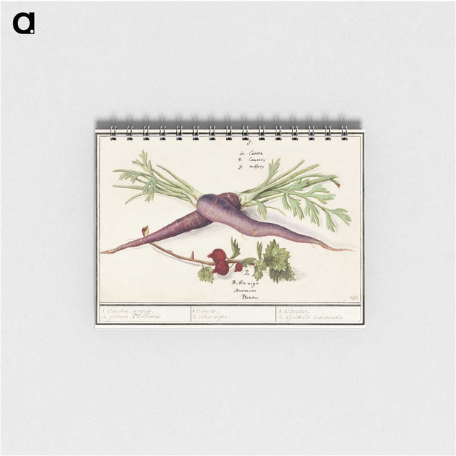 1-62_Anselmus-Boetius-de-Boodt_memo
