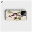 1-62_Anselmus-Boetius-de-Boodt_phone