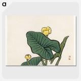 1-62_Bairei-Gakan_picture-crop