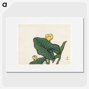 1-62_Bairei-Gakan_picture